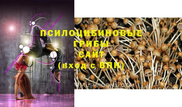 дживик Заволжье