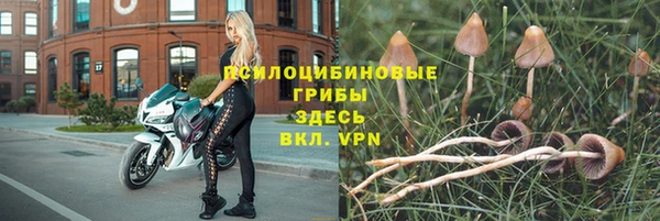 дистиллят марихуана Заводоуковск