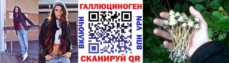 Галлюциногенные грибы MAGIC MUSHROOMS Купить Калач-на-Дону